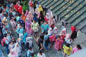 13c78832-55c0-495c-be62-2bf329819bd2